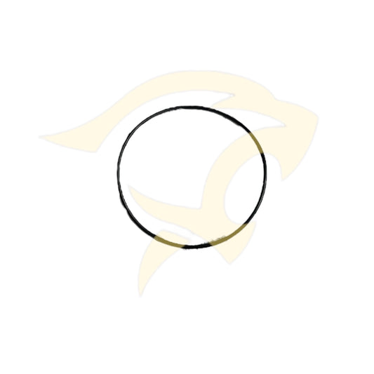 Differential Assembly Sealing Ring - JLM20451