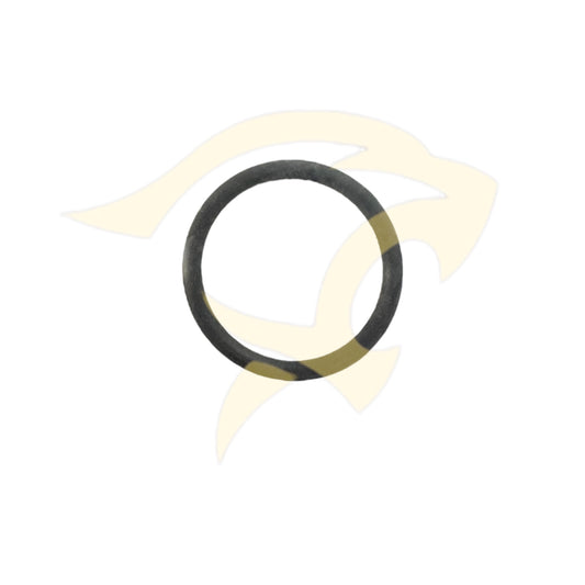 3.0L & 5.0L S/C Water Outlet Pipe to Engine O-Ring Seal - AJ811350