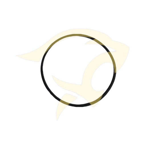 Differential bearing Housing O-Ring - JLM20327