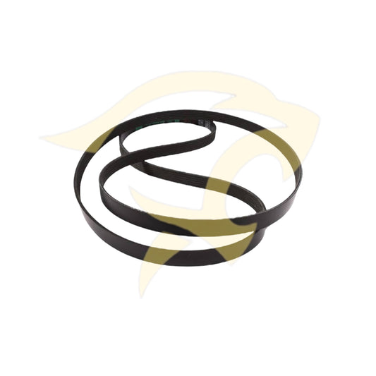 V6 Petrol Engine Drive Belt - C2S24900