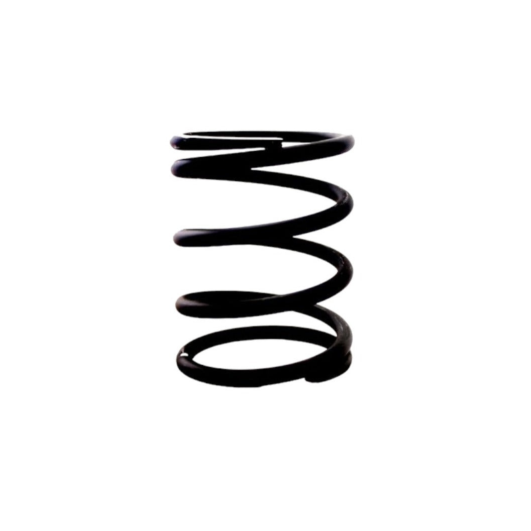 5.3L Rear Gearbox Mounting Spring - CCC6759