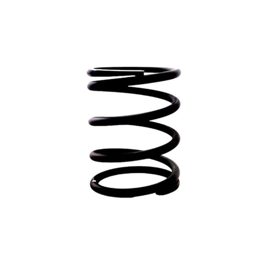 5.3L Rear Gearbox Mounting Spring - CCC6759
