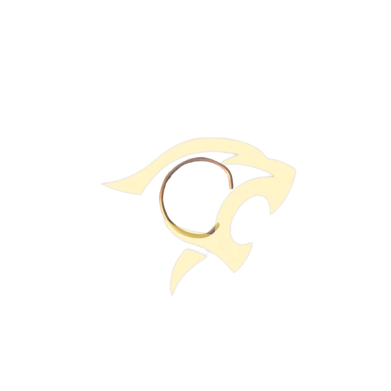 Transfer Box Retaining Ring - C2S5130