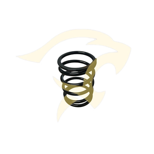 Rear Gearbox Mounting Spring - C19988