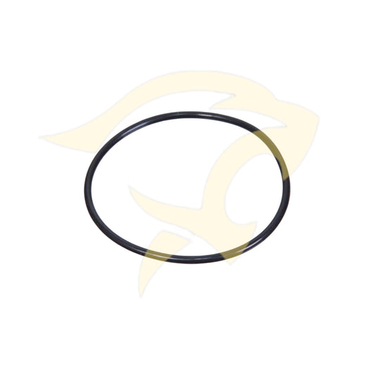 Differential Output Bearing O-Ring - JLM621