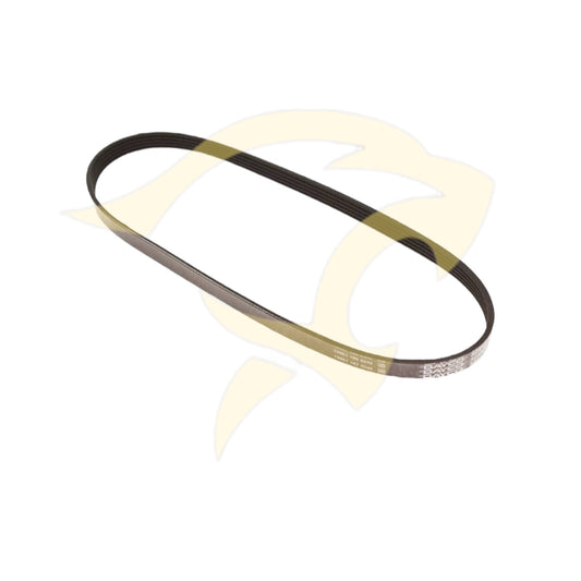 5.3L / 6.0L Alternator Drive Belt - NAC2211BA