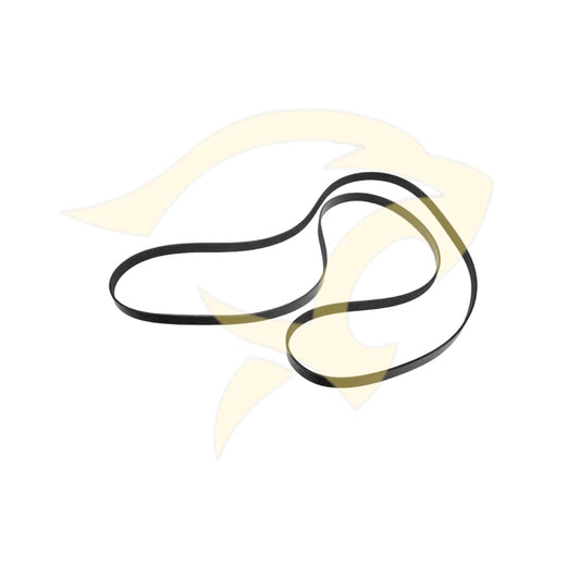 V6 Petrol Engine Drive Belt - AJ89043