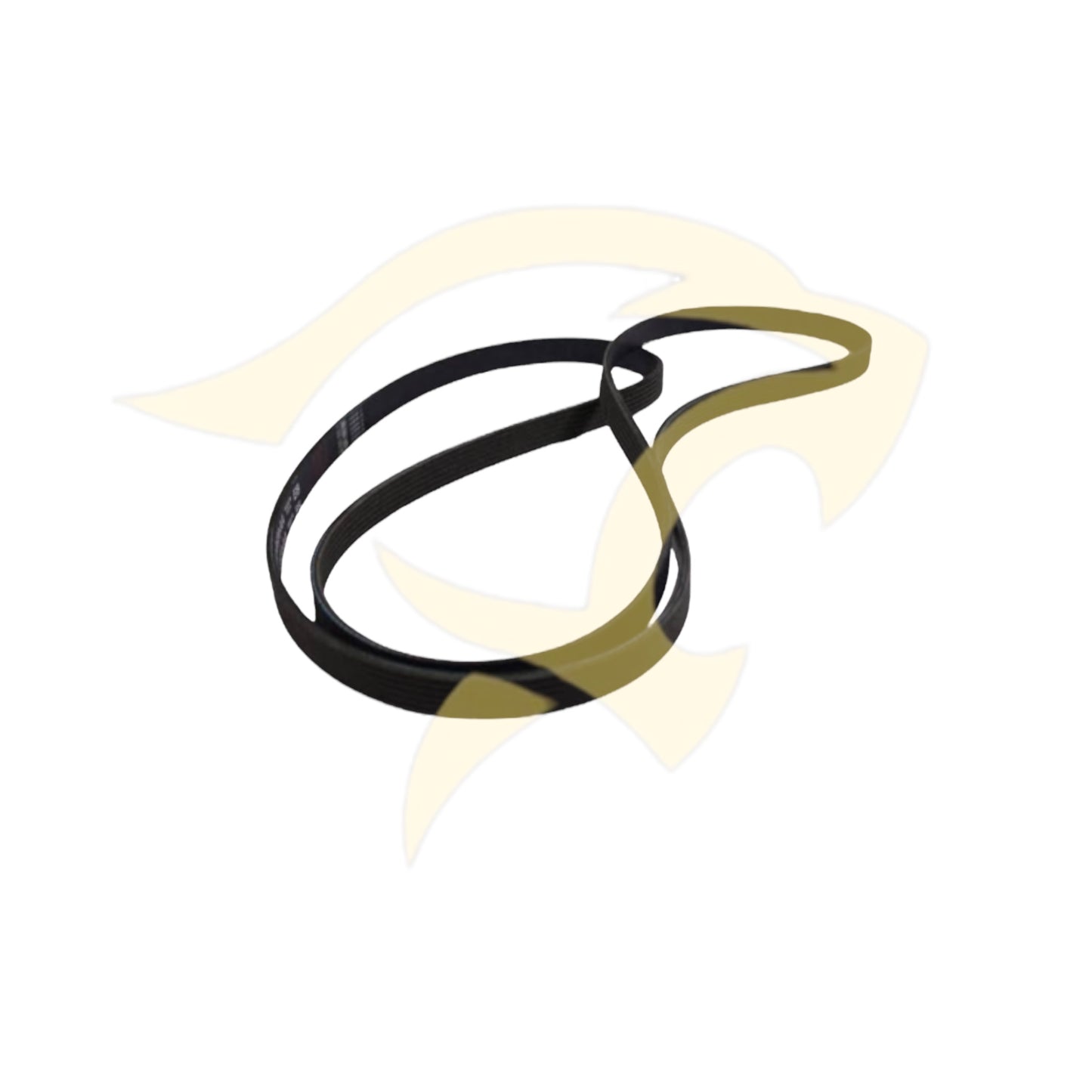 V8 Engine Drive Belt - C2C37063