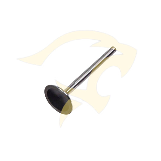 Exhaust Valve - C8313
