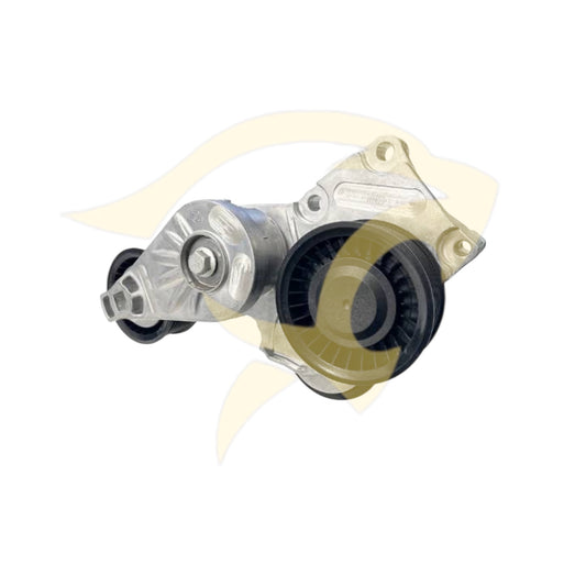 Drive Belt Tennsioner & Pulley - C2D49666