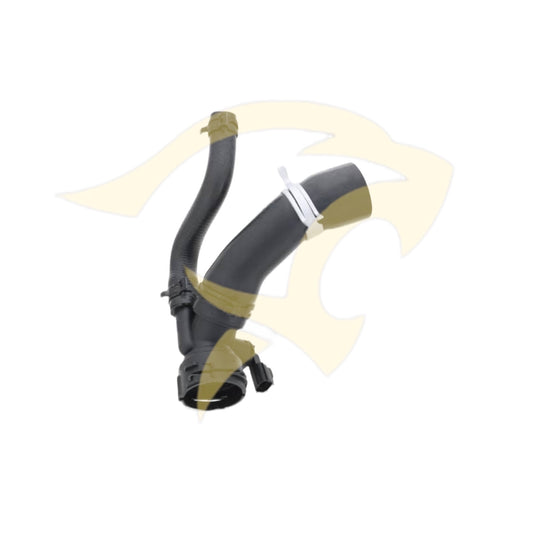 3.0L & 5.0L S/C Bottom Radiator Hose - C2Z22155