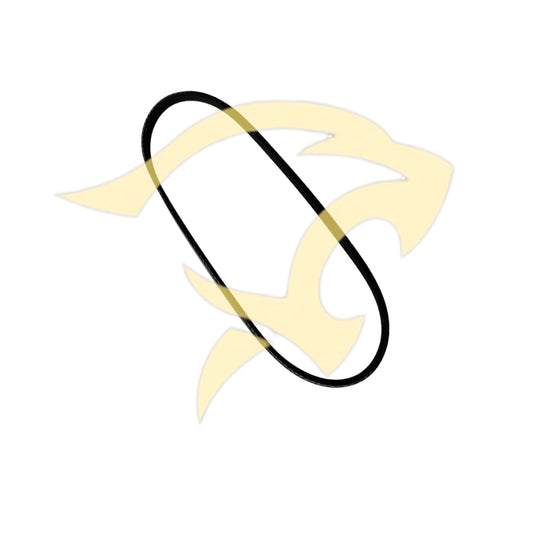 Water Pump Drive Belt - C2S39525