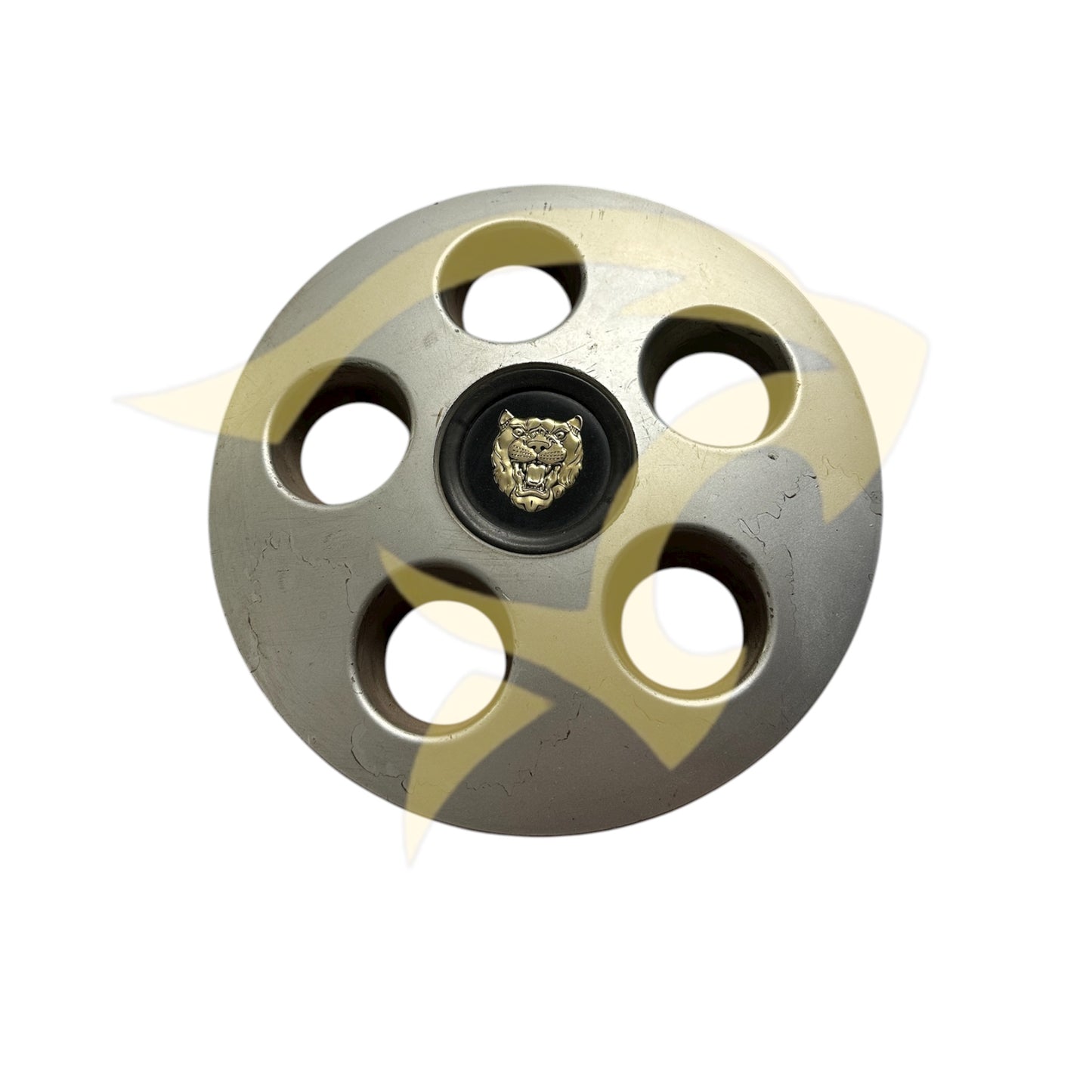 Holed Hub Cap with Badge & Retainer - CAC6438
