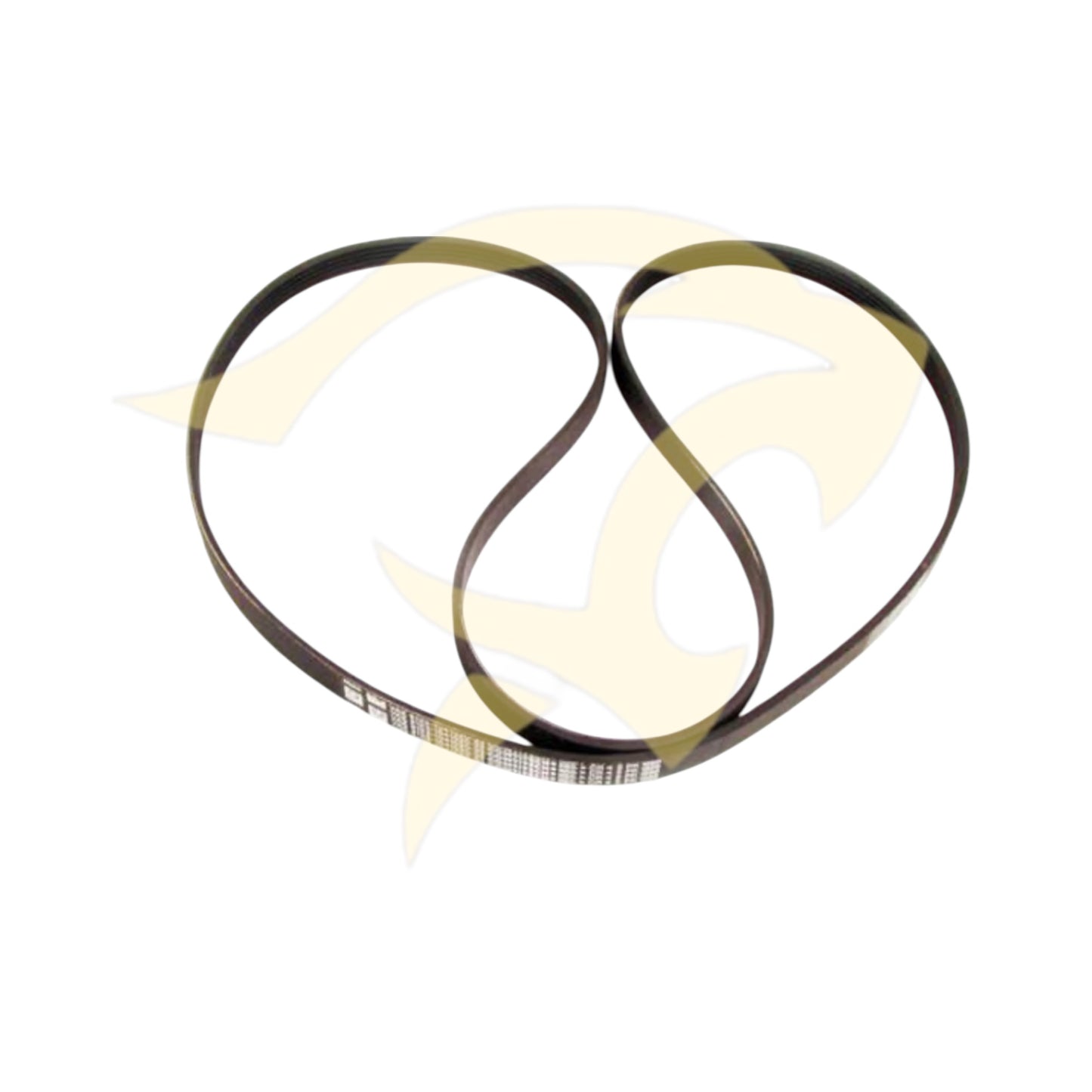 3.0L & 5.0L S/C Engine Drive Belt - C2D61184