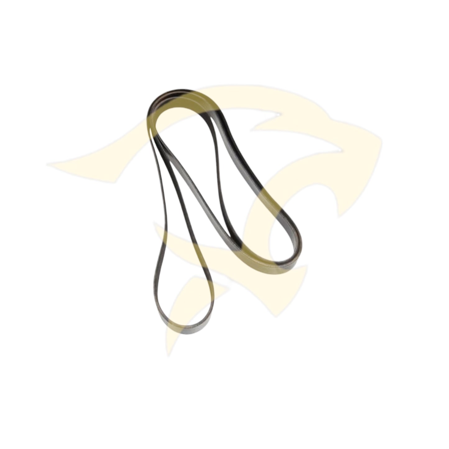 3.0L & 5.0L S/C Main Drive / Serpentine Belt - C2D61182