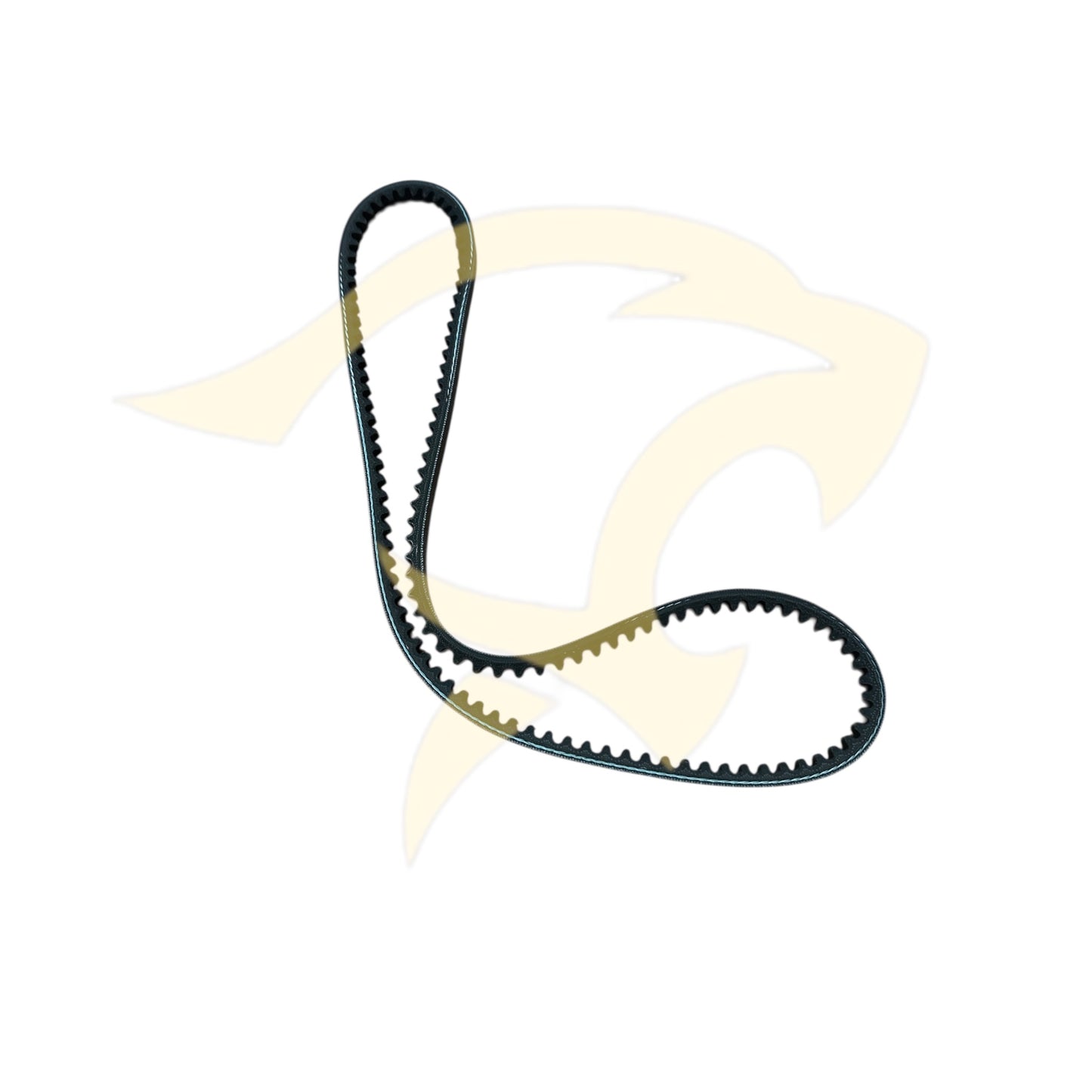 Alternator Drive V Belt - C29607