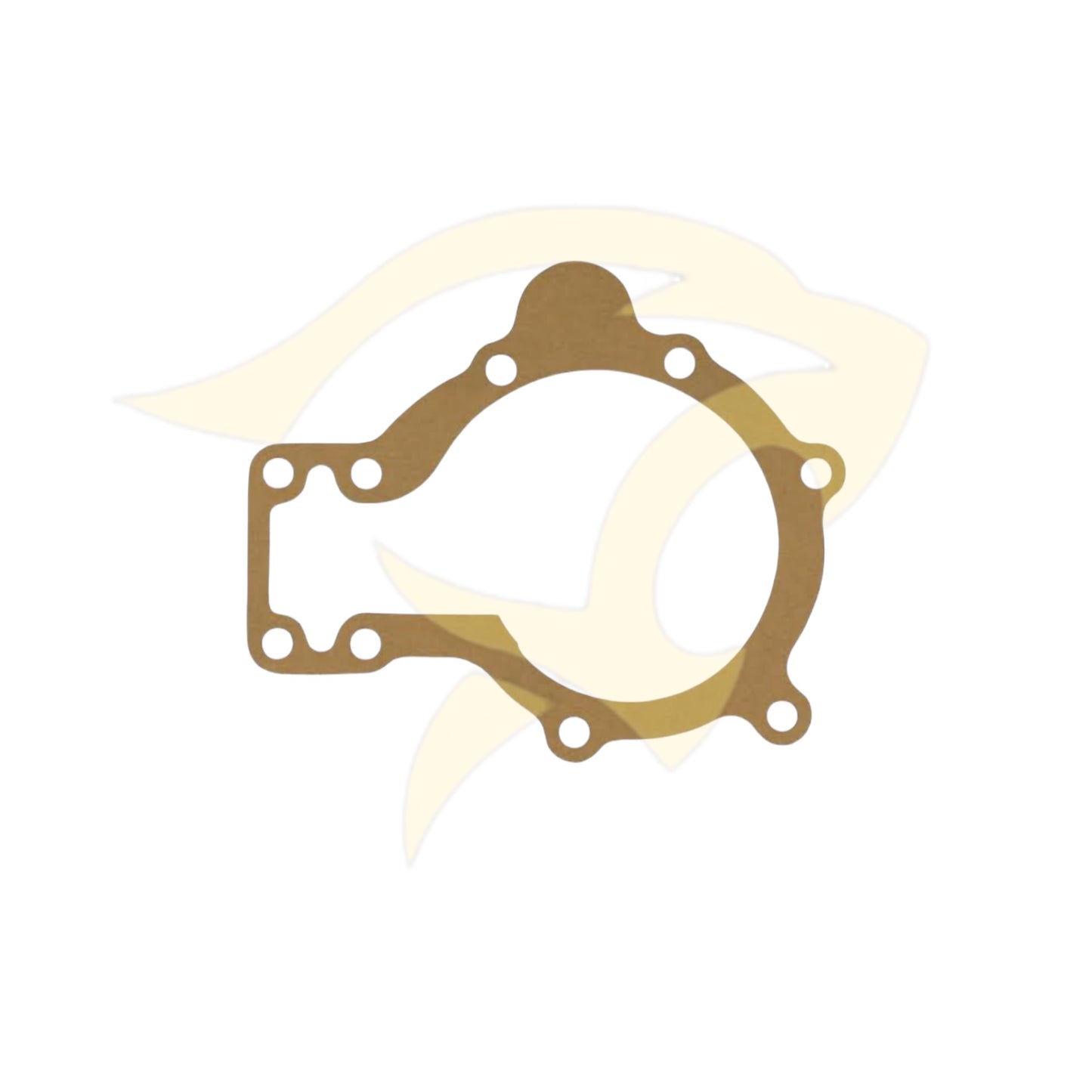 Water Pump Gasket - C28656