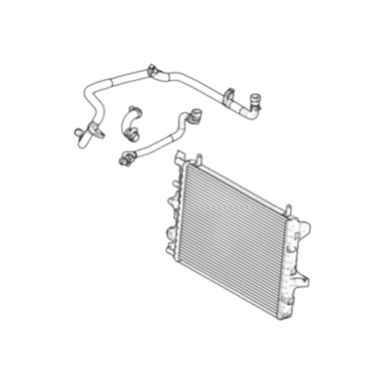 Radiator & Hoses - XJ6 S3
