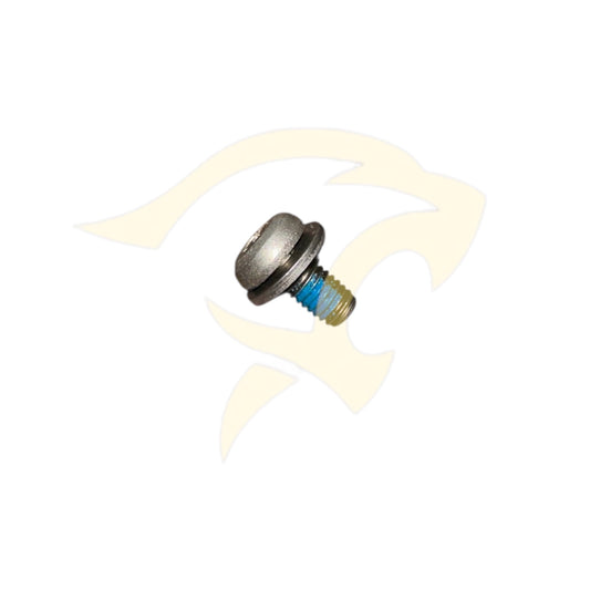 Pan Head Torx Screw - BD48949/3