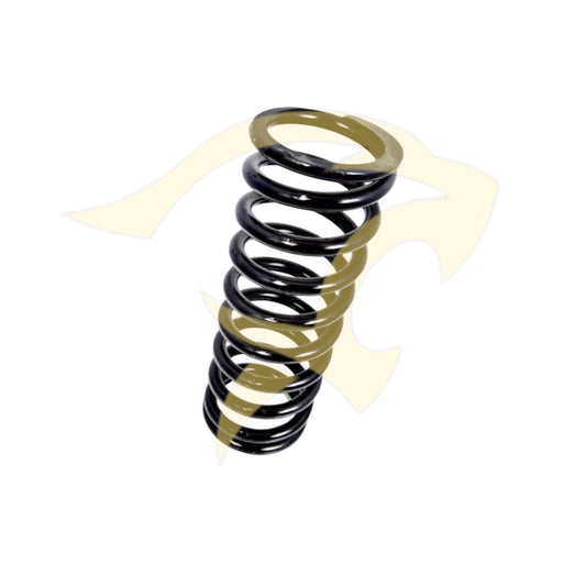 Rear Road Spring - JLM11569