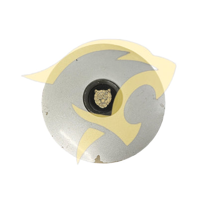 Single Hub Cap for Steel Rims - CBC4973