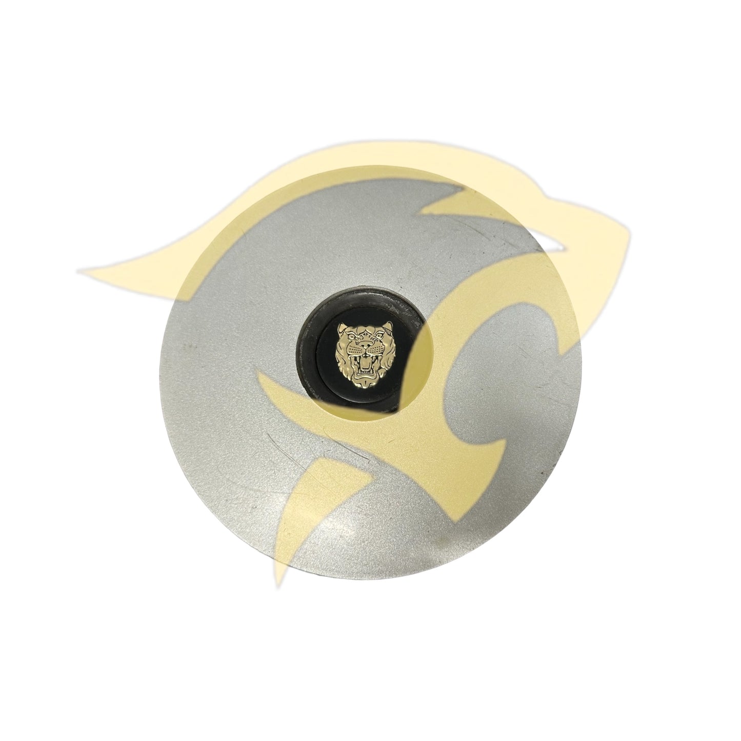 Single Hub Cap for Steel Rims - CBC4973