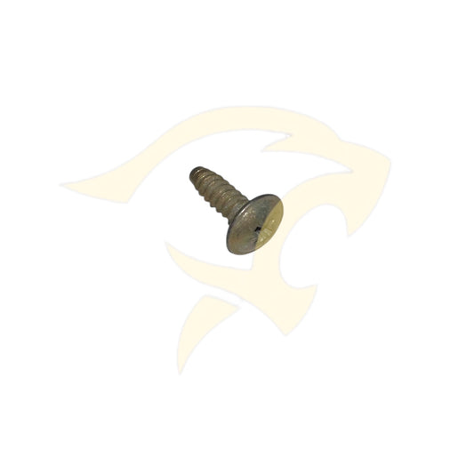 Self-Tapping Screw - Raised Posipan, #10 x 5/8" B Type - AA610051J