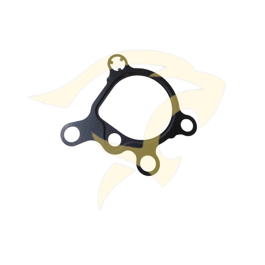 2.0L Petrol TiVCT / GTDi Fuel Pump Housing Gasket - XR858478
