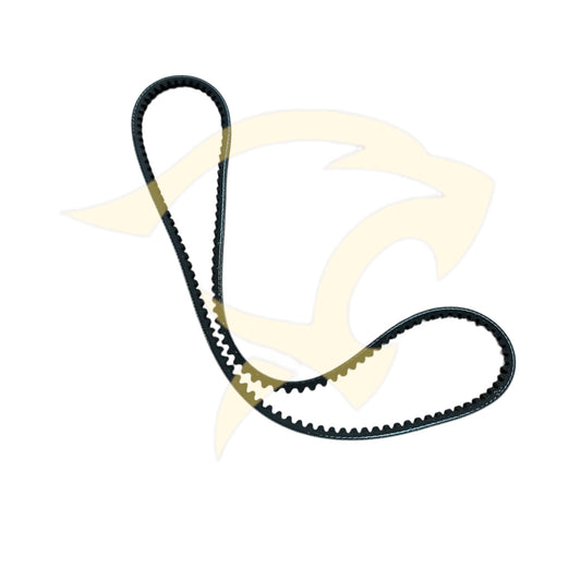 Fan Drive Belt - C13595