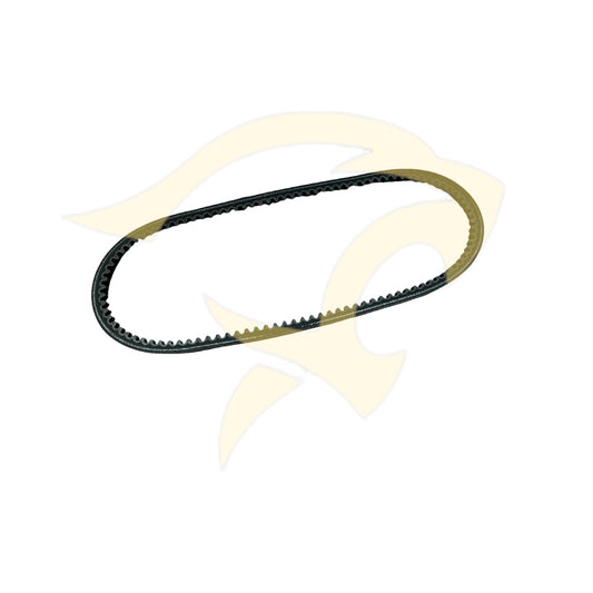 Water Pump Belt - C28955