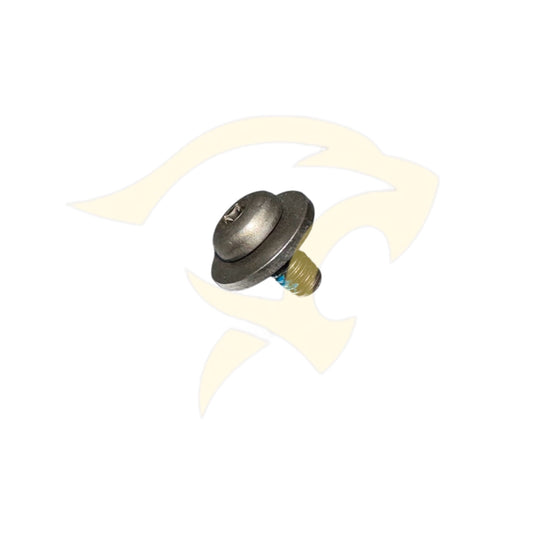 Screw Torx - BD48949/4