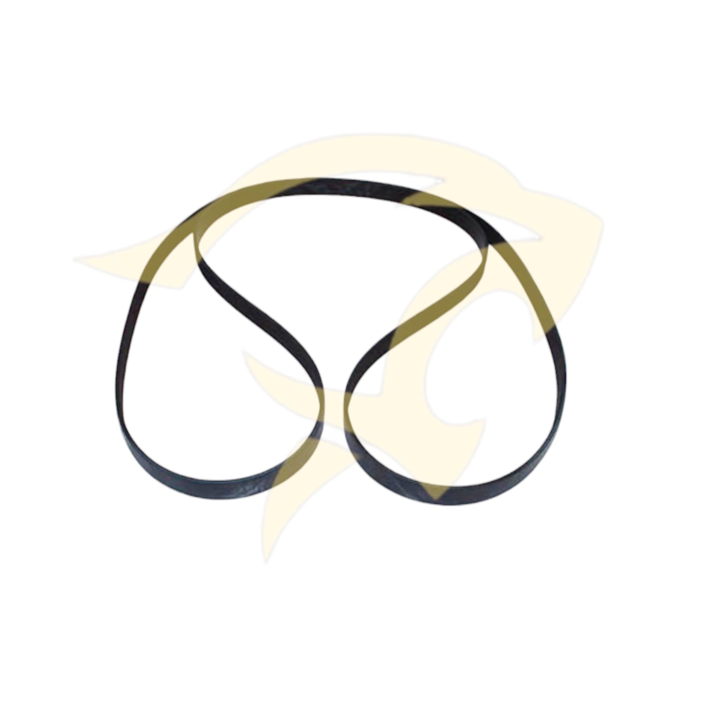 5.0L NA V8 AJ133 Serpentine / Drive Belt - C2P12808