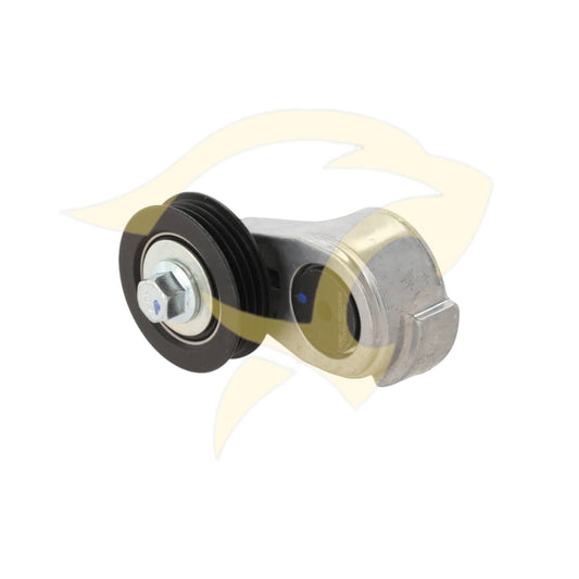 V6 Water Pump Drive Belt Tenssioner - C2S43295