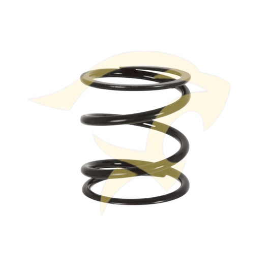 Rear Gearbox Mounting Spring - C459021