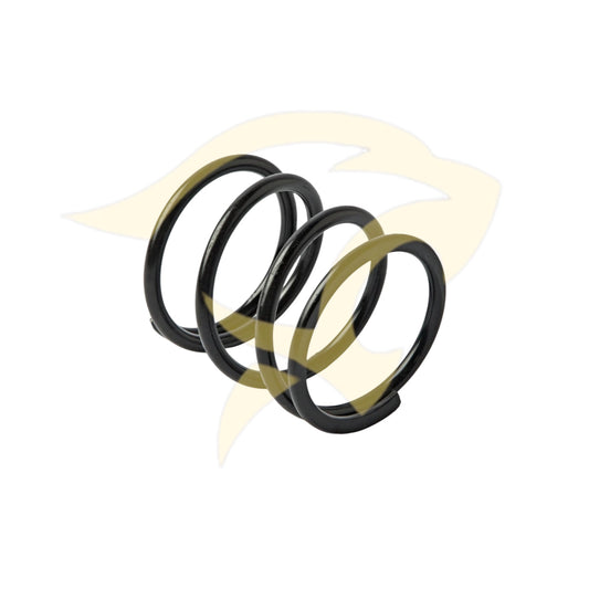 Rear Gearbox Mounting Coil Spring - C12299