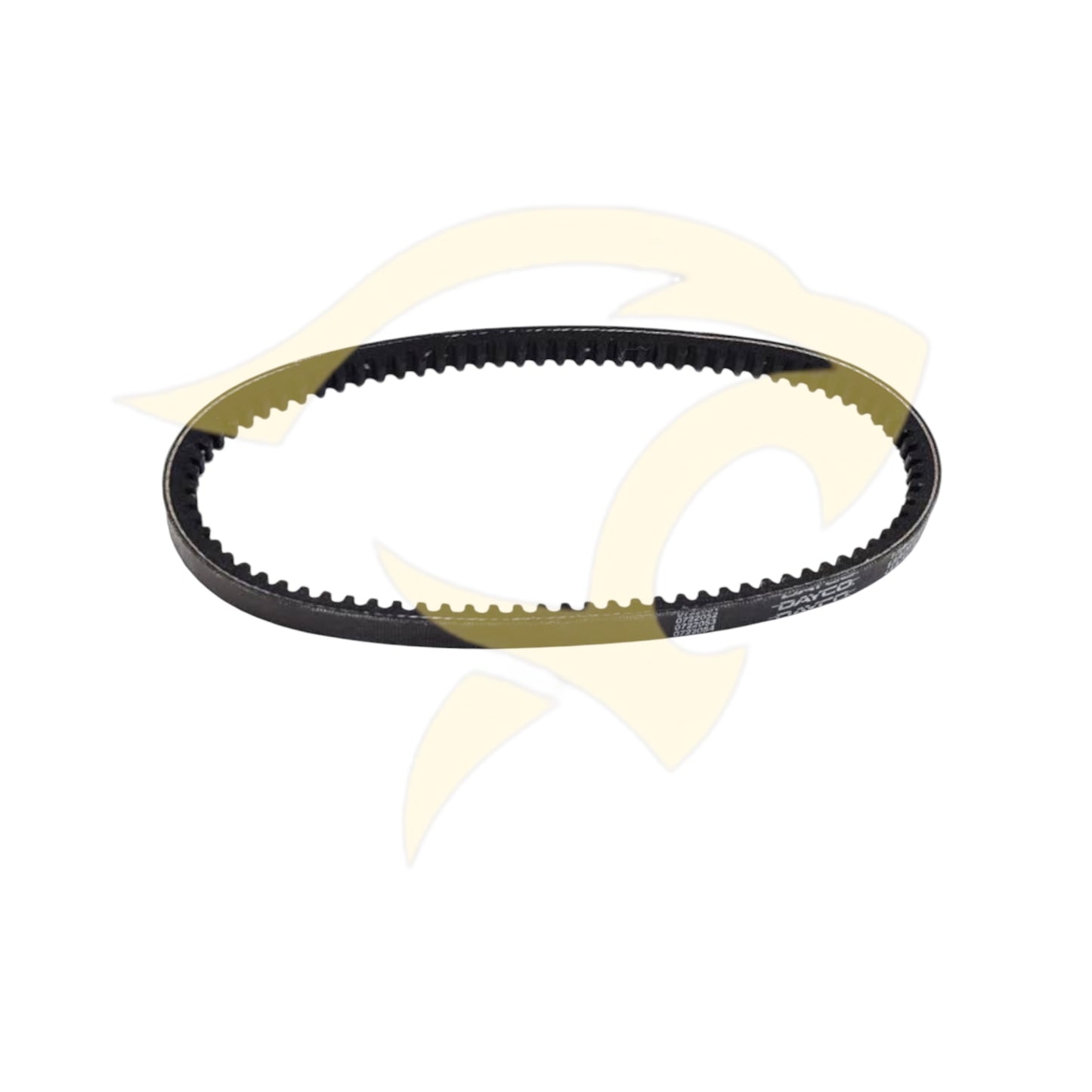 Dynamo Belt - C21025