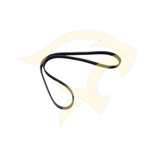 6.0L V12 Air Pump & Water Pump Drive Belt - EAC9898