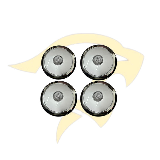 Road Wheel Hub Cap Set - MNC6240AA